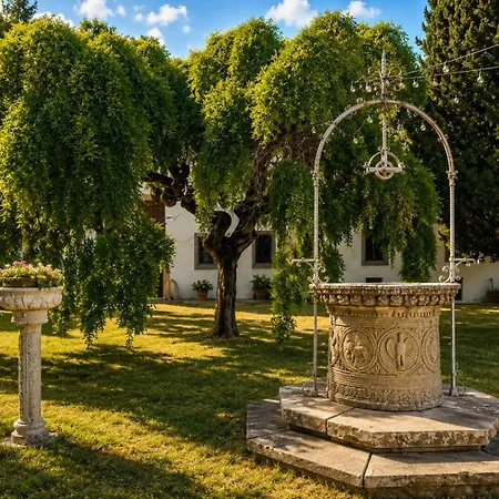 Podere Di Montecchio - Le Andane